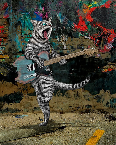 Buskers -Guitar Cat